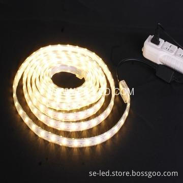 5050SMD 12V White Double Row LED Strip